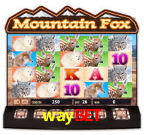 waybet,waybet.com